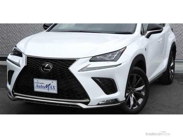 2019 Lexus NX