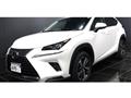 2018 Lexus NX