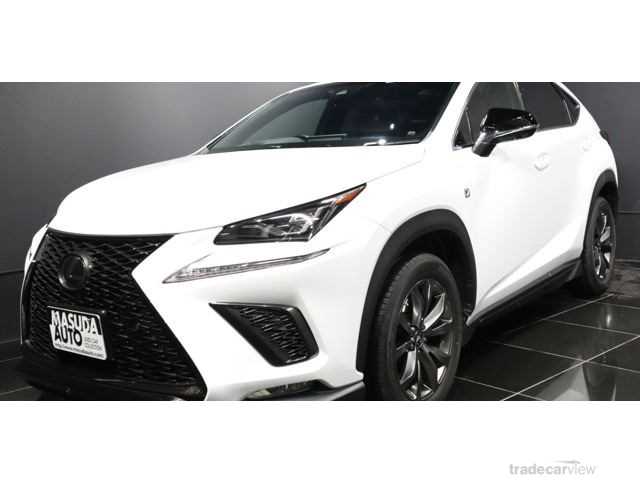 2018 Lexus NX