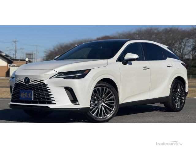 2024 Lexus RX