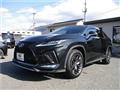 2021 Lexus RX