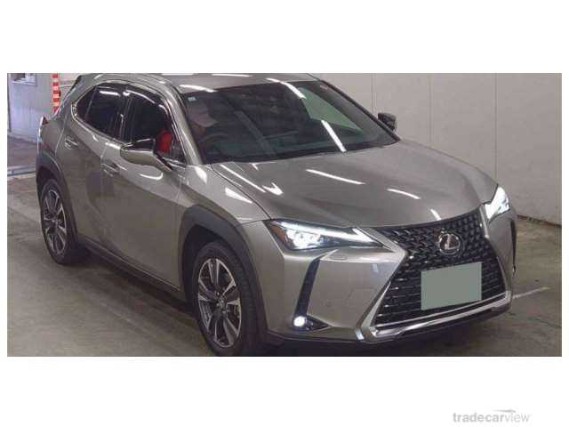 2023 Lexus Other