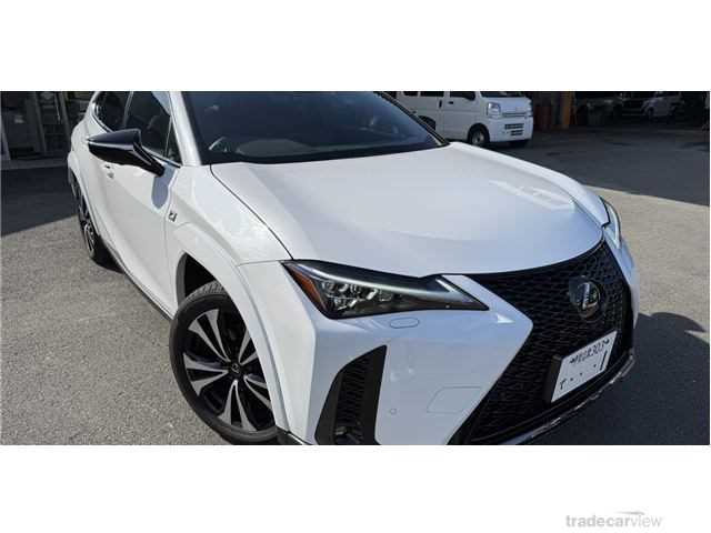 2023 Lexus Other