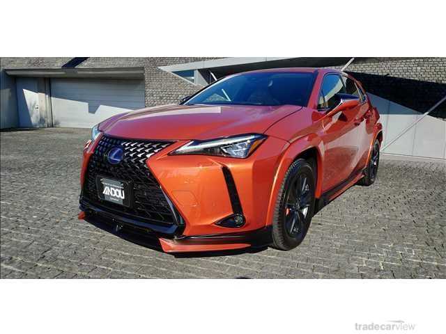 2022 Lexus Other