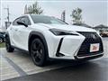 2021 Lexus Other