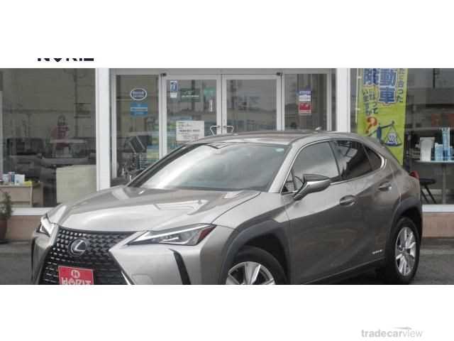 2021 Lexus Other