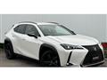 2021 Lexus Other