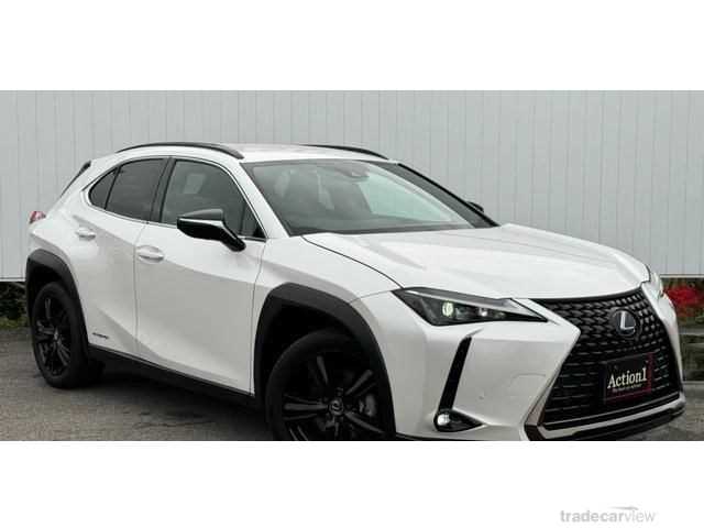 2021 Lexus Other