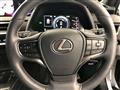 2021 Lexus Other