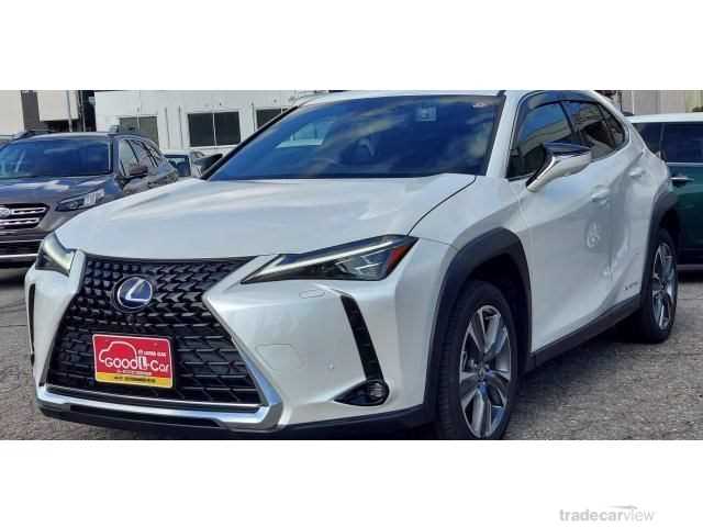 2021 Lexus Other