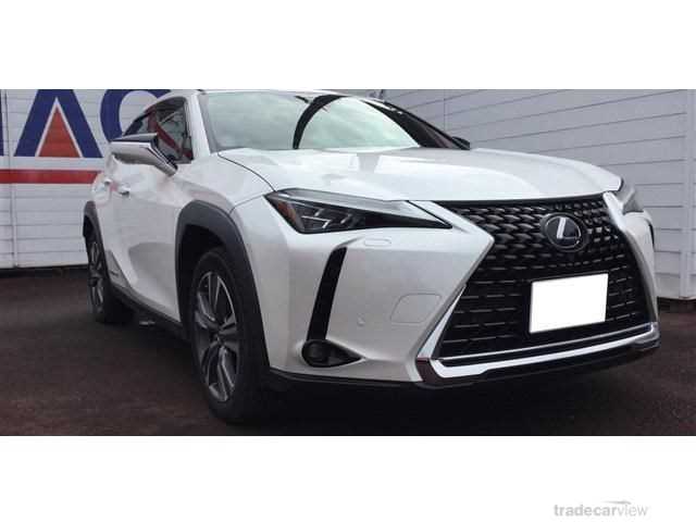 2021 Lexus Other