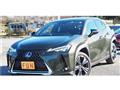 2021 Lexus Other