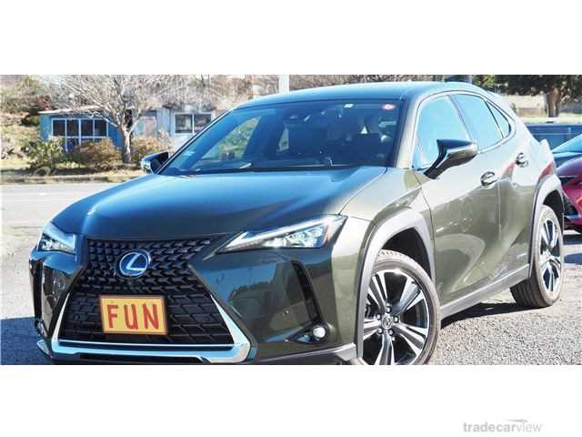 2021 Lexus Other