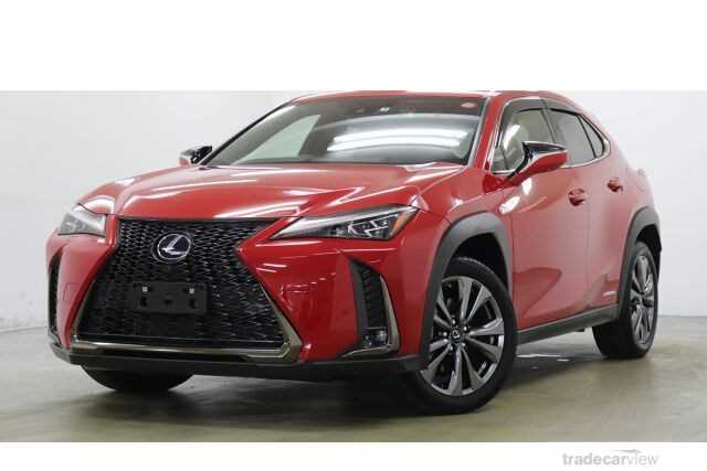 2021 Lexus Other