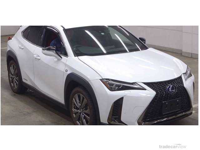 2021 Lexus Other