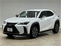 2021 Lexus Other