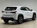 2021 Lexus Other