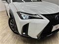 2021 Lexus Other