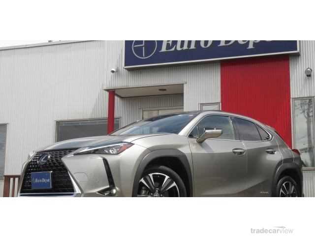 2021 Lexus Other