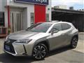 2021 Lexus Other