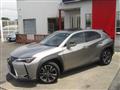 2021 Lexus Other