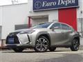 2021 Lexus Other