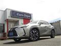 2021 Lexus Other