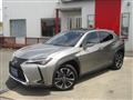 2021 Lexus Other