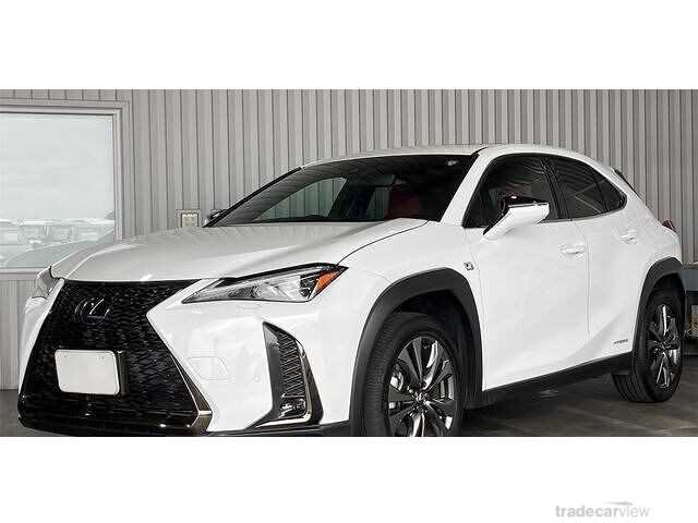 2021 Lexus Other