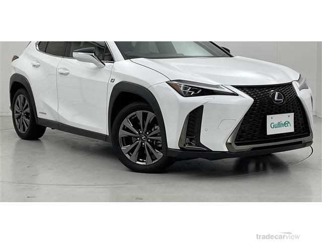 2021 Lexus Other