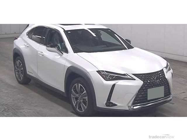 2021 Lexus Other