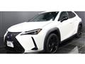 2021 Lexus Other