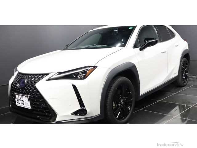 2021 Lexus Other