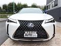 2021 Lexus Other