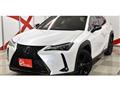 2021 Lexus Other