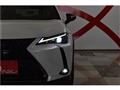 2021 Lexus Other