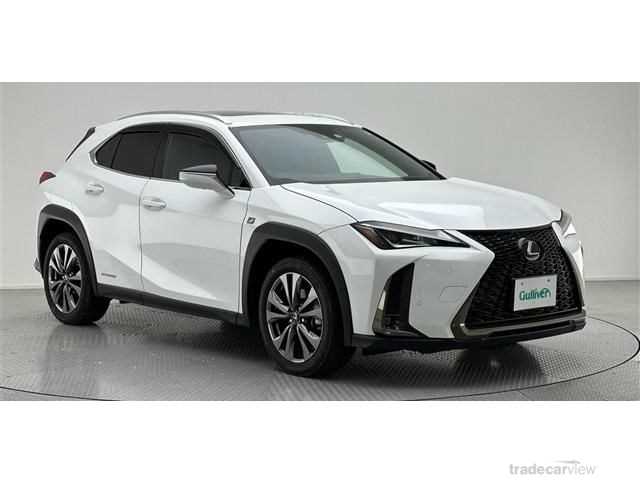 2021 Lexus Other