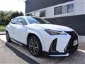 2021 Lexus Other