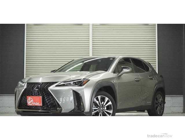 2020 Lexus Other