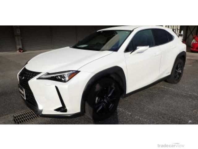 2020 Lexus Other