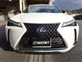 2020 Lexus Other