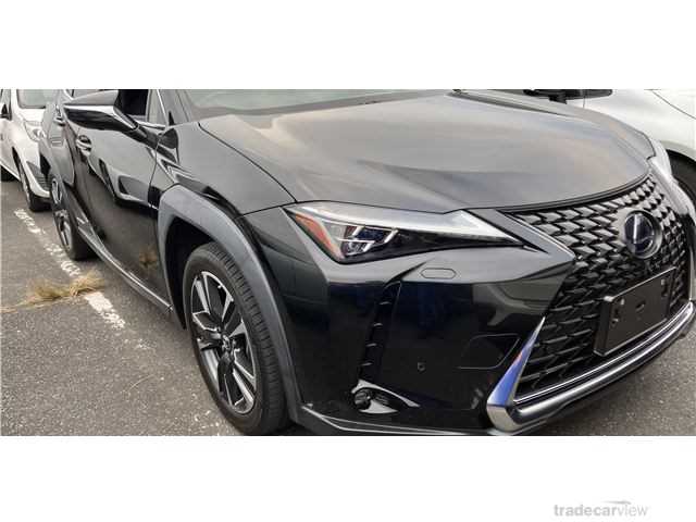 2020 Lexus Other