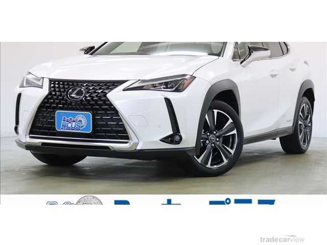 2020 Lexus Other