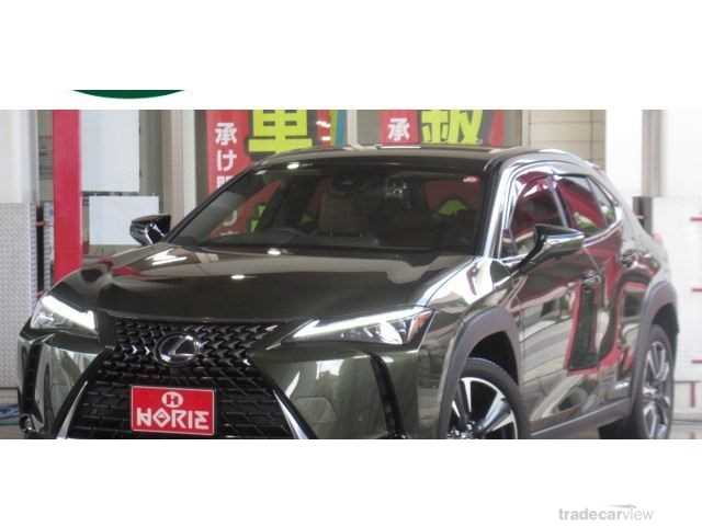 2020 Lexus Other