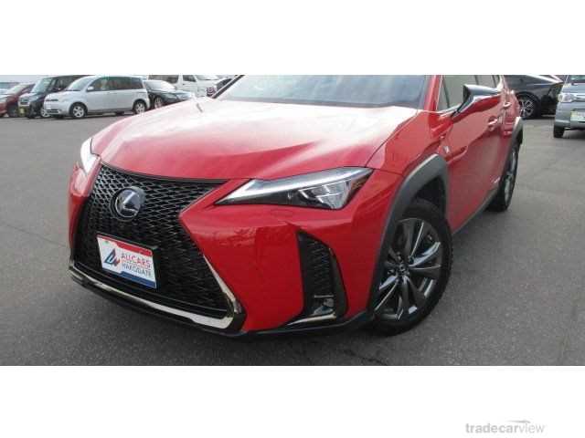 2020 Lexus Other