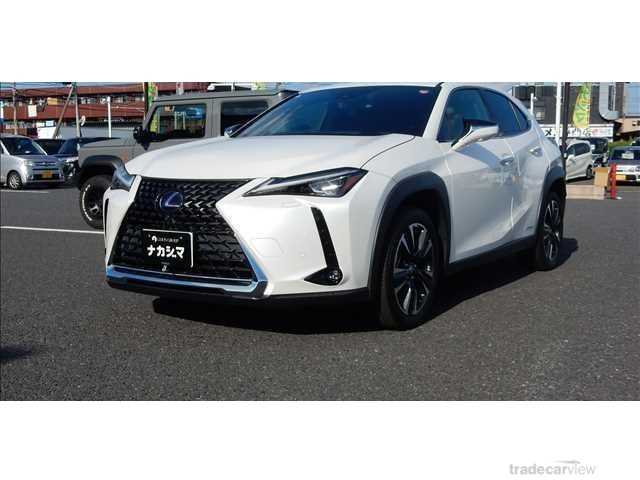 2020 Lexus Other