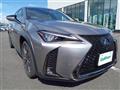 2020 Lexus Other