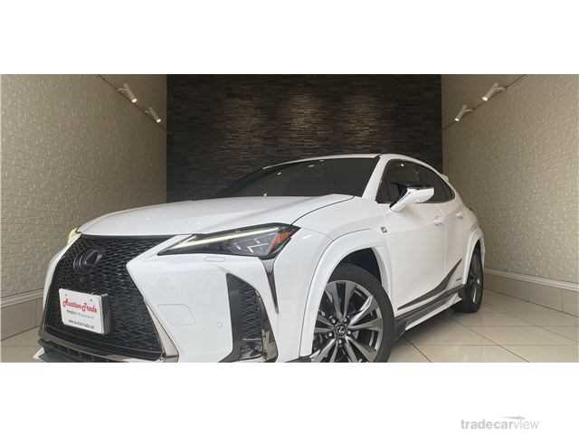 2020 Lexus Other