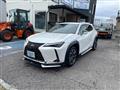 2020 Lexus Other