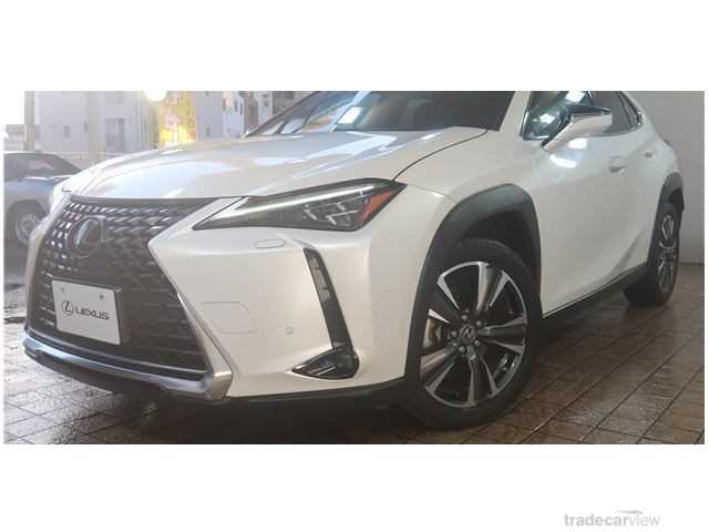 2019 Lexus Other